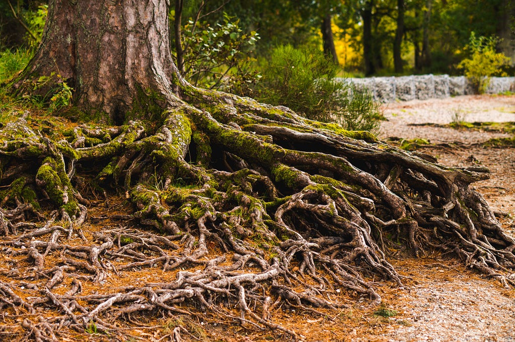 Is premature optimization really the root of all evil?